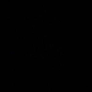 Meet your Posher, Carmen